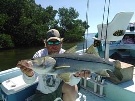 SWFL Fishing