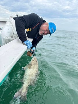 SWFL Fishing