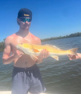 Snook, Redfish & Trout Fishing Trip