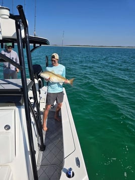 Shallow Water Sight Fishing 