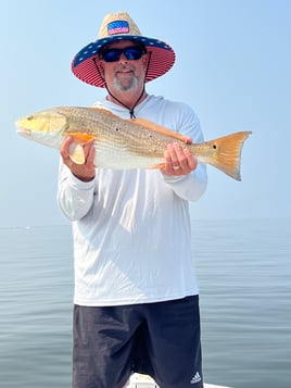 Shallow Water Sight Fishing 