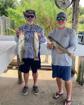 Shallow Water Sight Fishing 