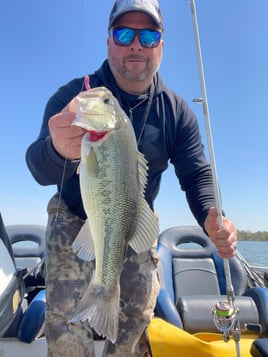 Bass Bonanza 