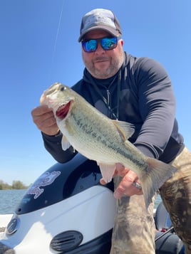 Bass Bonanza 