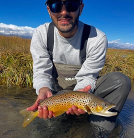 Vcatch And Release Fly Fishing