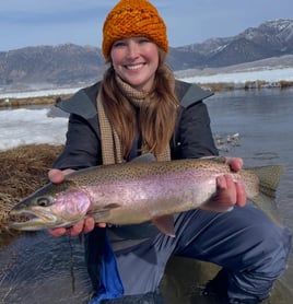 Vcatch And Release Fly Fishing