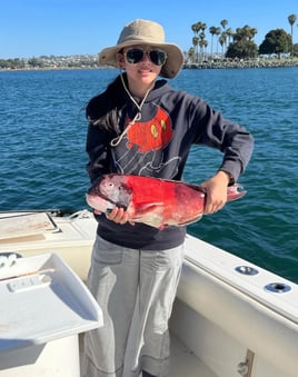 San Diego Inshore Fishing