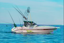 Lake Ontario Salmon & Trout Fishing