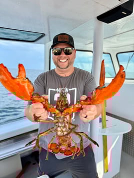 Lobster Tours