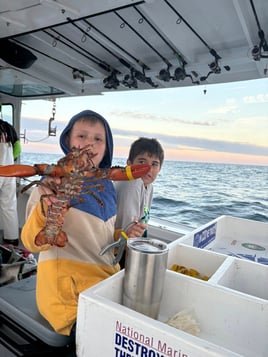 Lobster Tours