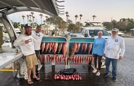 Offshore Fishing Trips (Tidewater)