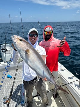 Offshore Fishing Trips (Tidewater)