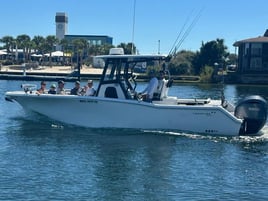 Offshore Fishing Trips (Tidewater)