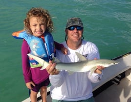 Shark Fishing In Islamorada