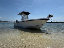 Family Fishing Trips (Mako)