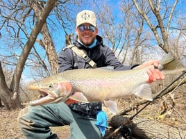 Day Trip – Toronto