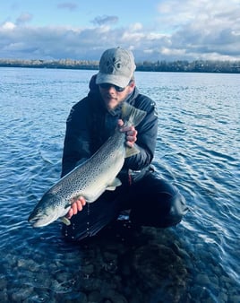 Day Trip – Toronto