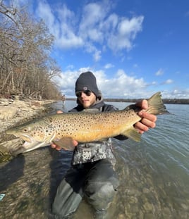 Day Trip – Toronto