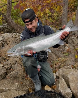 Day Trip – Niagara Falls