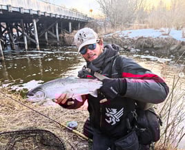 Day Trip – Niagara Falls