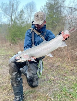 Day Trip – Niagara Falls