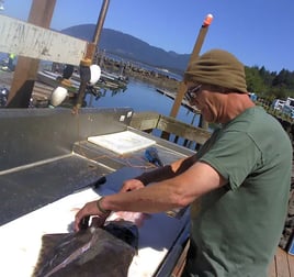 Offshore Halibut Trips
