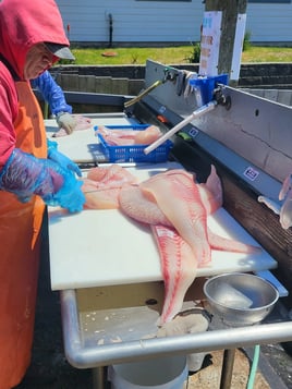 Offshore Halibut Trips
