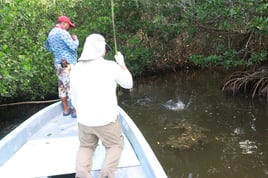 Inshore Fishing Trip