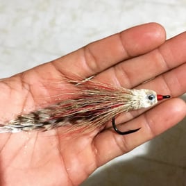 Inshore Fishing Trip