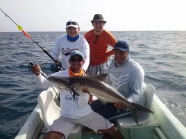 Inshore Fishing Trip