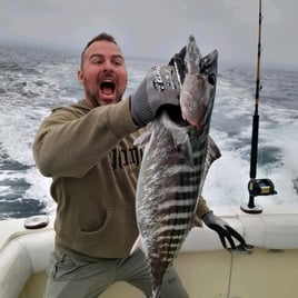 Local And Long-range Fishing Trips