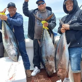 Local And Long-range Fishing Trips