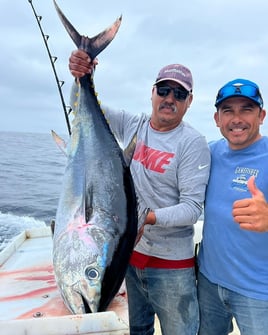 Local And Long-range Fishing Trips