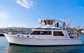 Local And Long-range Fishing Trips
