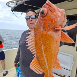 Local And Long-range Fishing Trips