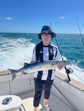 Evening Shark And Tarpon