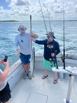 Evening Shark And Tarpon