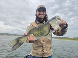 Austin Area Bass Fishing Guide