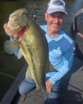 Austin Area Bass Fishing Guide