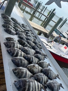 4 Hour Inshore/Nearshore