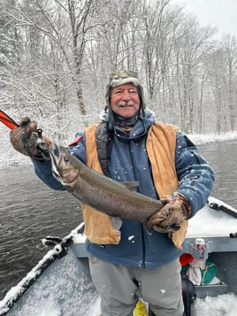 Half Or Full Day Trip