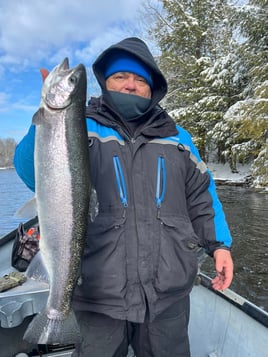 Half Or Full Day Trip