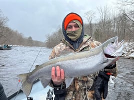 Half Or Full Day Trip