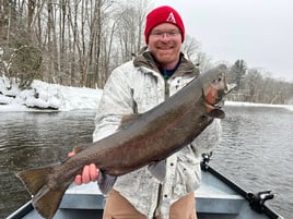 Half Or Full Day Trip