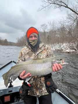 Half Or Full Day Trip