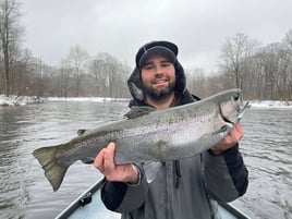 Half Or Full Day Trip