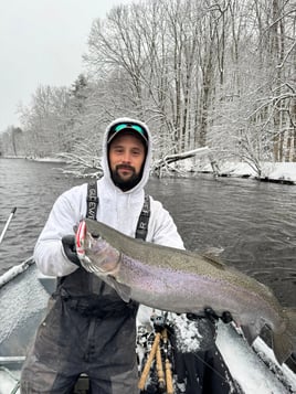 Half Or Full Day Trip