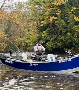 Half Or Full Day Trip