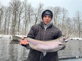 Half Or Full Day Trip