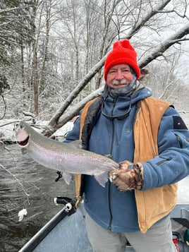 Half Or Full Day Trip